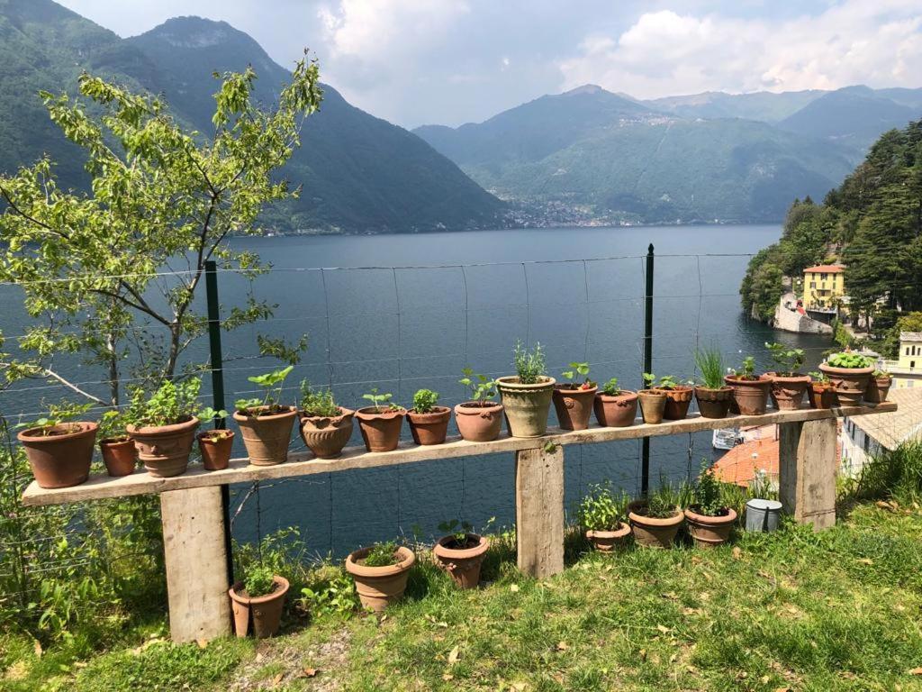 GLI ORTI DELLA CIVERA  Cottagecore Amazing View Nesso Esterno foto